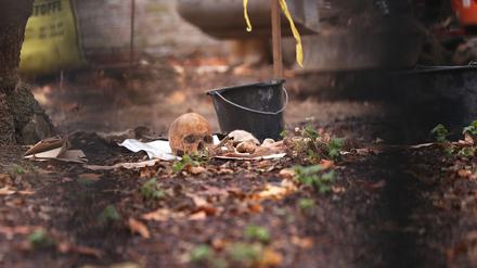 Auf dem Gartengrundstück der Villa Kellermann ist ein Skelett gefunden worden. 