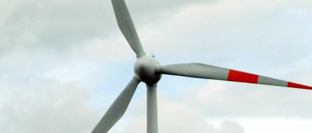 Der Initiativkreis Bürgerwind Schwielowsee will ein Windrad übernehmen. 
