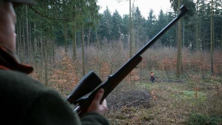 Trichinenuntersuchung von erlegtem Schwarzwild in Potsdam-Mittelmark für Jäger bis 2021 kostenlos.