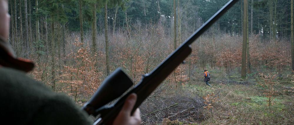 Trichinenuntersuchung von erlegtem Schwarzwild in Potsdam-Mittelmark für Jäger bis 2021 kostenlos.