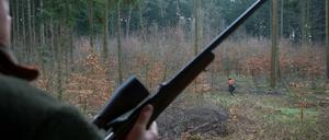 Trichinenuntersuchung von erlegtem Schwarzwild in Potsdam-Mittelmark für Jäger bis 2021 kostenlos.