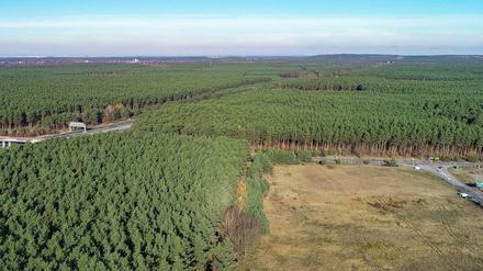 Rechts neben der Autobahn 10 (Berliner Ring) plant Tesla den Bau seiner Gigafactory.