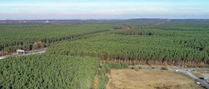 Rechts neben der Autobahn 10 (Berliner Ring) plant Tesla den Bau seiner Gigafactory.