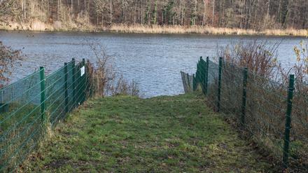 Der Uferweg am Griebnitzsee.