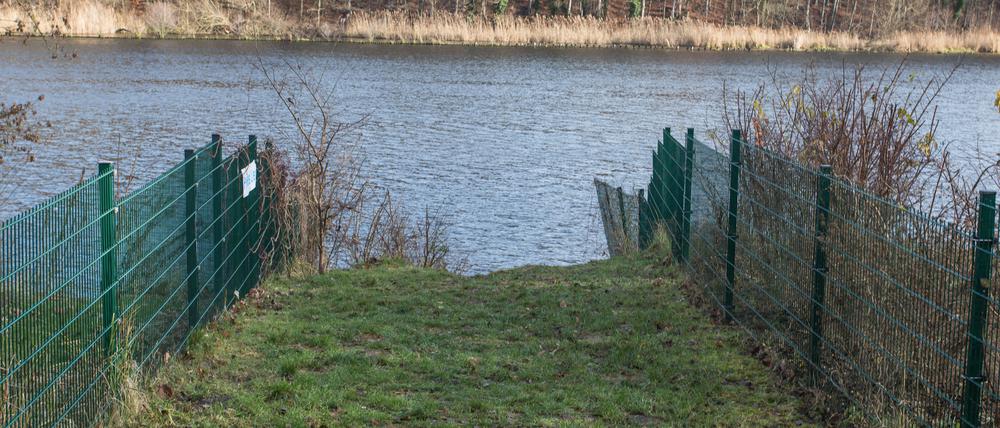 Der Uferweg am Griebnitzsee.