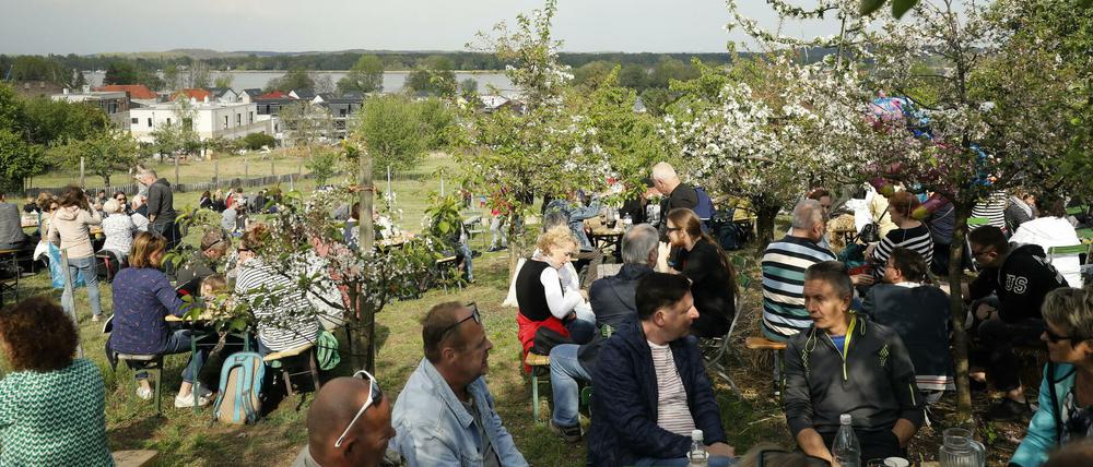 Im Hohen Weg kann man auch 2020 die Baumblüte feiern.