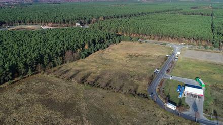 Die "Gigafabrik" soll in der Grünheide entstehen.