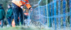 In Sachsen wurden bereits Schutzzäune aufgebaut.