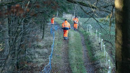 So könnte der Wildabwehrzaun in Brandenburg aussehen. Hier ist eine Übung in Sachsen zu sehen. 