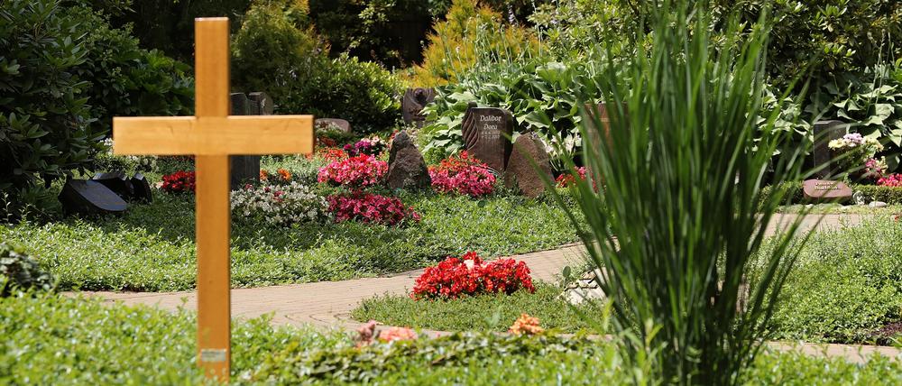 Die brandenburgische Landeshauptstadt Potsdam unterhält 13 kommunale Friedhöfe mit einer Gesamtfläche von 49,16 Hektar.
