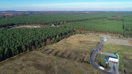 In dem riesigen Waldgebiet rechts der Autobahn plant Tesla den Bau einer Gigafabrik.