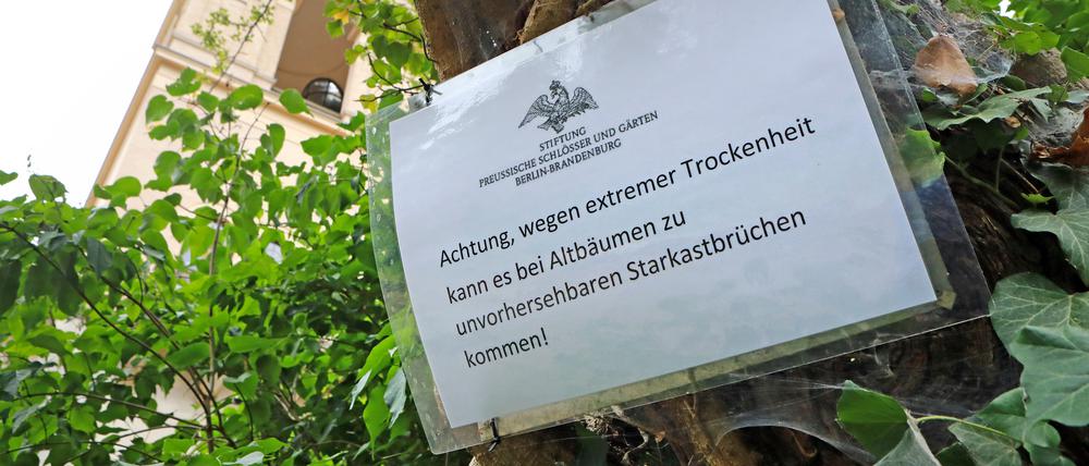 Im Sommer sperrte die Schlösserstiftung immer wieder Teile der Parkanlagen in Potsdam.