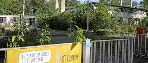 Das Hauptquartier des Stadtteilnetzwerks Potsdam-West ist der Lottenhof.