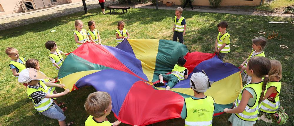 Im Sommer lud das Naturkundemuseum Kita-Kinder zum Umweltaktionstag ein.