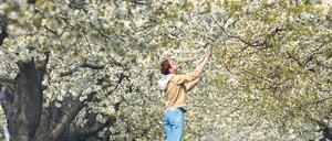 Ob die Obstbäume in diesem Jahr wirklich früher als erwartet erblühen, wird sich zeigen müssen.
