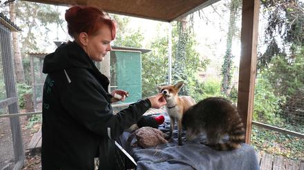 Kathi Wiggert engagiert sich hauptamtlich für die Tierrettung Potsdam.