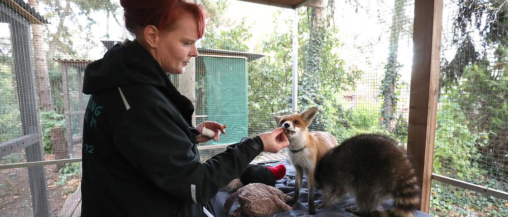 Kathi Wiggert engagiert sich hauptamtlich für die Tierrettung Potsdam.