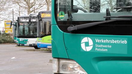 Die Busflotte des Potsdamer Verkehrsbetriebes soll nach und nach ersetzt werden.