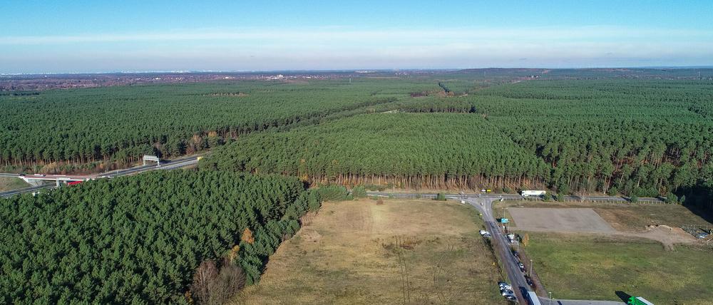 Das Güterverkehrszentrum (GVZ) Freienbrink in der Gemeinde Grünheide östlich von Berlin. Links ist die Autobahn A10 (Berliner Ring) zu sehen. In dem riesigen Waldgebiet rechts der Autobahn plant Tesla seine Fabrik.