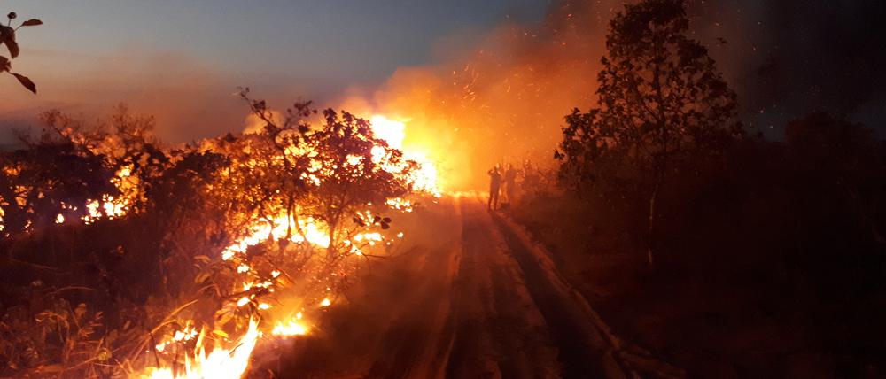 Der Brand von Tropenwäldern wie hier in Brasilien erhöht den CO2-Gehalt in der Atmosphäre.