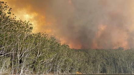 Schon seit Oktober 2019 wüten die Buschbrände in Australien. 