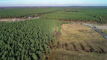 Ab 2021 sollen in Grünheide die ersten Fahrzeuge vom Band rollen.