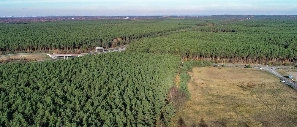 Ab 2021 sollen in Grünheide die ersten Fahrzeuge vom Band rollen.