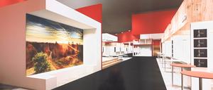 Erheblicher Blickwechsel. Das neue Design des Messestandes des Landes Brandenburg auf der Grünen Woche 2020 ist gewöhnungsbedürftig.