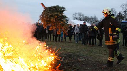 Lodernde Tannen. Wie hier 2018 in Bornim brennen wieder die Bäume.