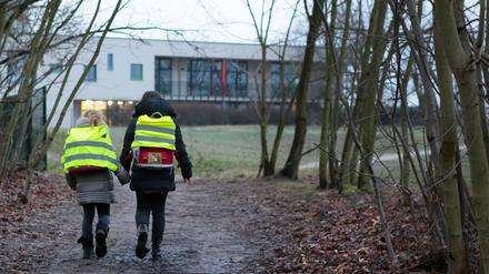 Ein unbefestigter Waldweg: Teil des bisherige Schulweg zur Regenbogen-Grundschule Fahrland. Aufgenommen im Januar 2018.