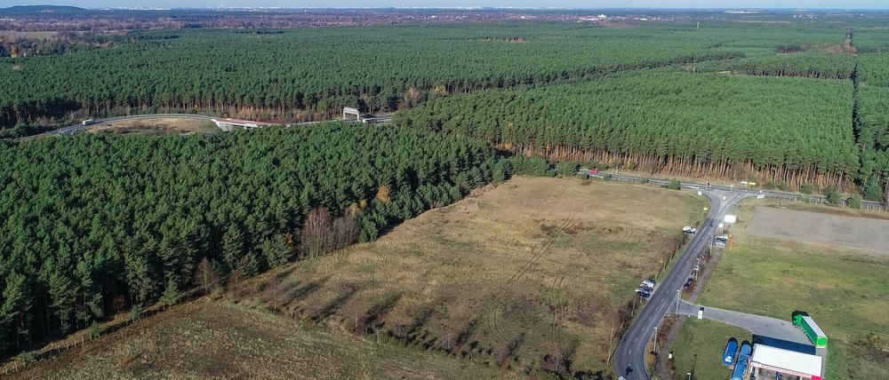 In dem riesigen Waldgebiet rechts der Autobahn plant Tesla den Bau einer Gigafactory. Links ist die Autobahn 10 (Berliner Ring) zu sehen.