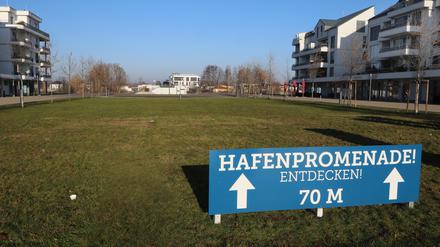 Auf der Wiese sollen 300 Quadratmeter vereist werden.