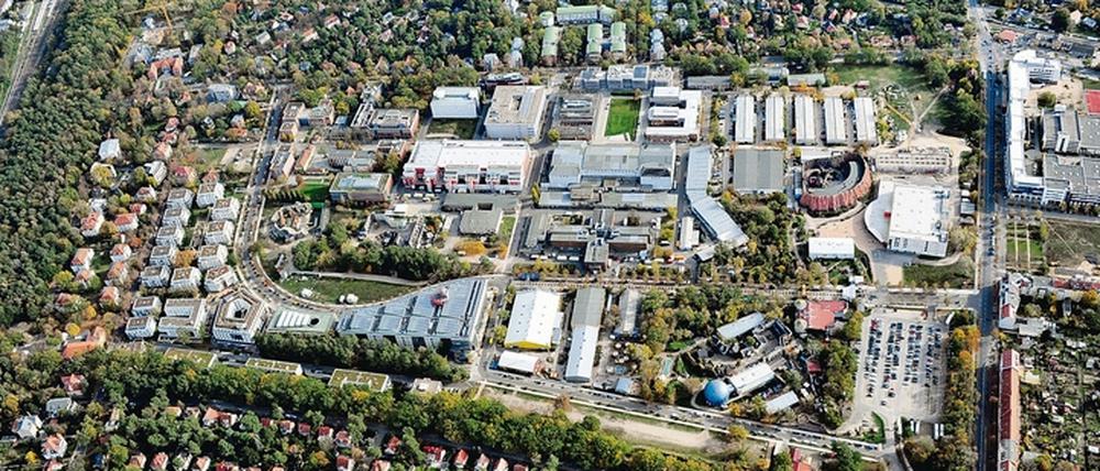 In der Medienstadt Babelsberg geht es dynamisch zu.