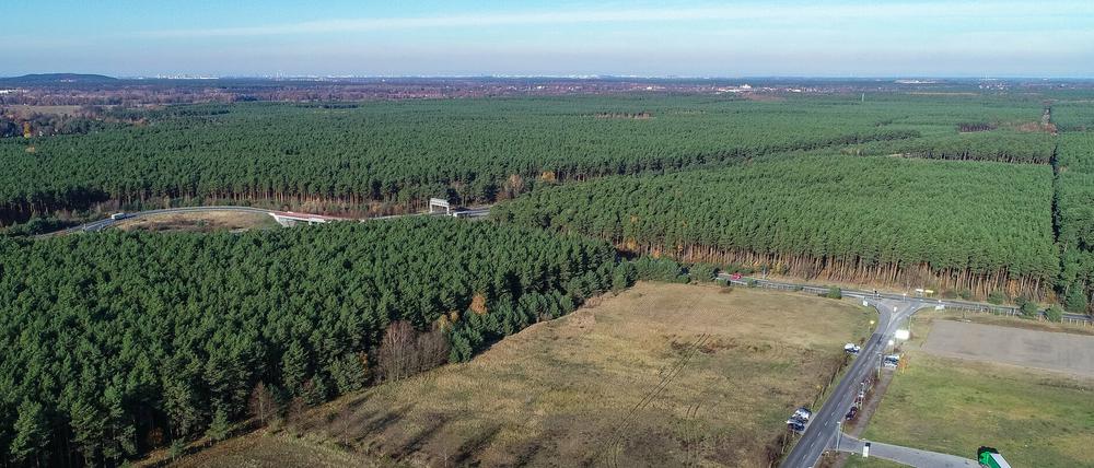 Das Güterverkehrszentrum (GVZ) Freienbrink in der Gemeinde Grünheide. Dort plant Tesla den Bau einer Gigafabrik.