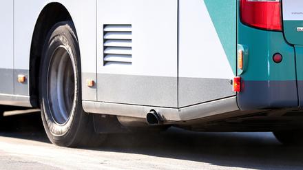 Mit über zwei Promille war am Sonntagnachmittag eine Busfahrerin in Potsdam unterwegs.