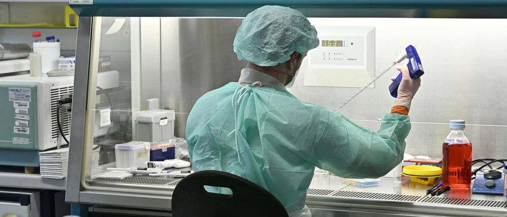 Laboruntersuchungen zur Abklärung des Coronavirus vorgenommen.