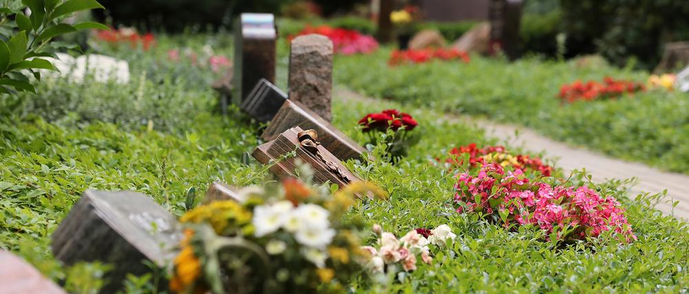 Entgegen des brandenburgweiten Trends der Zunahme von Sozialbestattungen, ist die Zahl in Potsdam rückläufig.