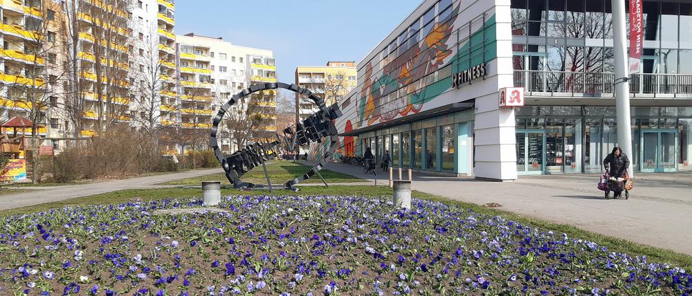 Potsdam blüht auf - die Blumenrabatten werden wieder bepflanzt.