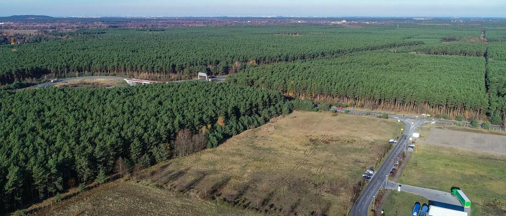 In dem riesigen Waldgebiet rechts der Autobahn ist die Tesla-Gigafactory geplant.