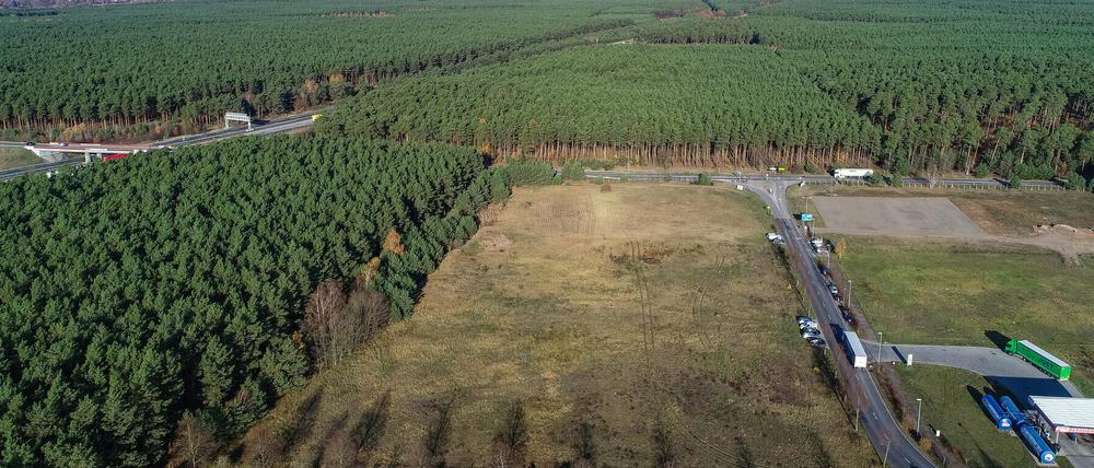 Ab Juli 2021 sollen in Grünheide Teslas produziert werden.