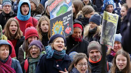 Ende November hatte die "Fridays for Future"-Bewegung zu einer Demo in Potsdam aufgerufen.