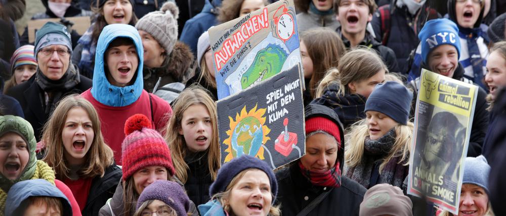 Ende November hatte die "Fridays for Future"-Bewegung zu einer Demo in Potsdam aufgerufen.