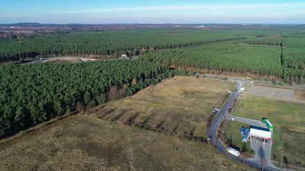 In Grünheide plant Tesla die Gigafabrik.