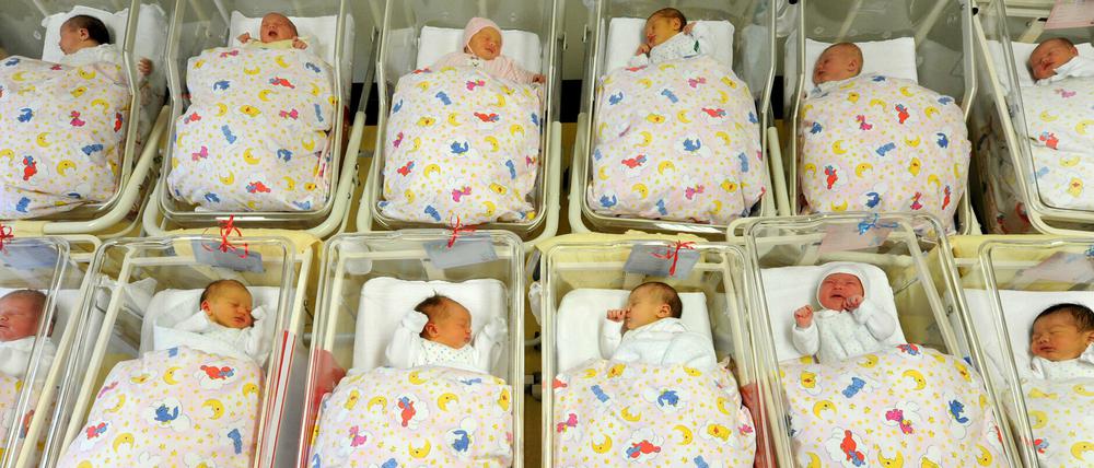 Im Landkreis Havelland warten Frauen mit ausländischer Staatsbürgerschaft oft lange auf eine Geburtsurkunde (Symbolbild).
