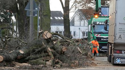 Das OVG hatte einen Antrag des Umweltverbandes BUND gegen die Fällungen abgelehnt.