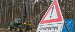 Der US-Elektroautobauer Tesla lässt für sein neues Werk in Grünheide den Wald roden.
