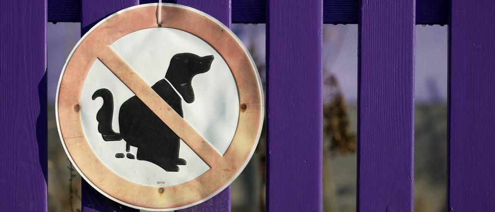 Immer wieder ein großes Streitthema: Hundehaufen.