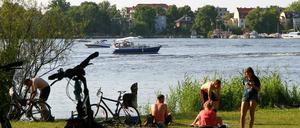 Das wilde Baden im Park Babelsberg erfreut sich im Sommer großer Beliebtheit.