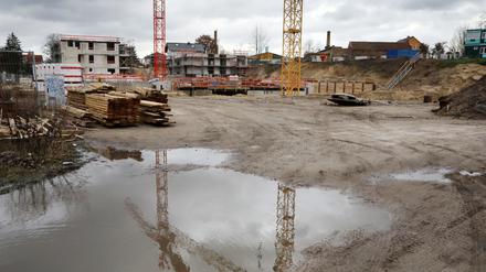 Ab Wochenanfang sollen sich auf der Baustelle in der Wilhelm-Külz-Straße wieder die Kräne drehen. 