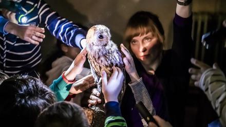 Ein Highlight für Kinder: Die Taschenlampenführung im Naturkundemuseum Potsdam. Wieder am 21. November und am 19. Dezember 2020.